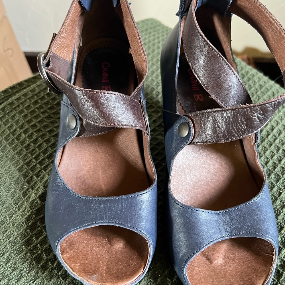 Chanii B. Navy and Brown Leather Heels